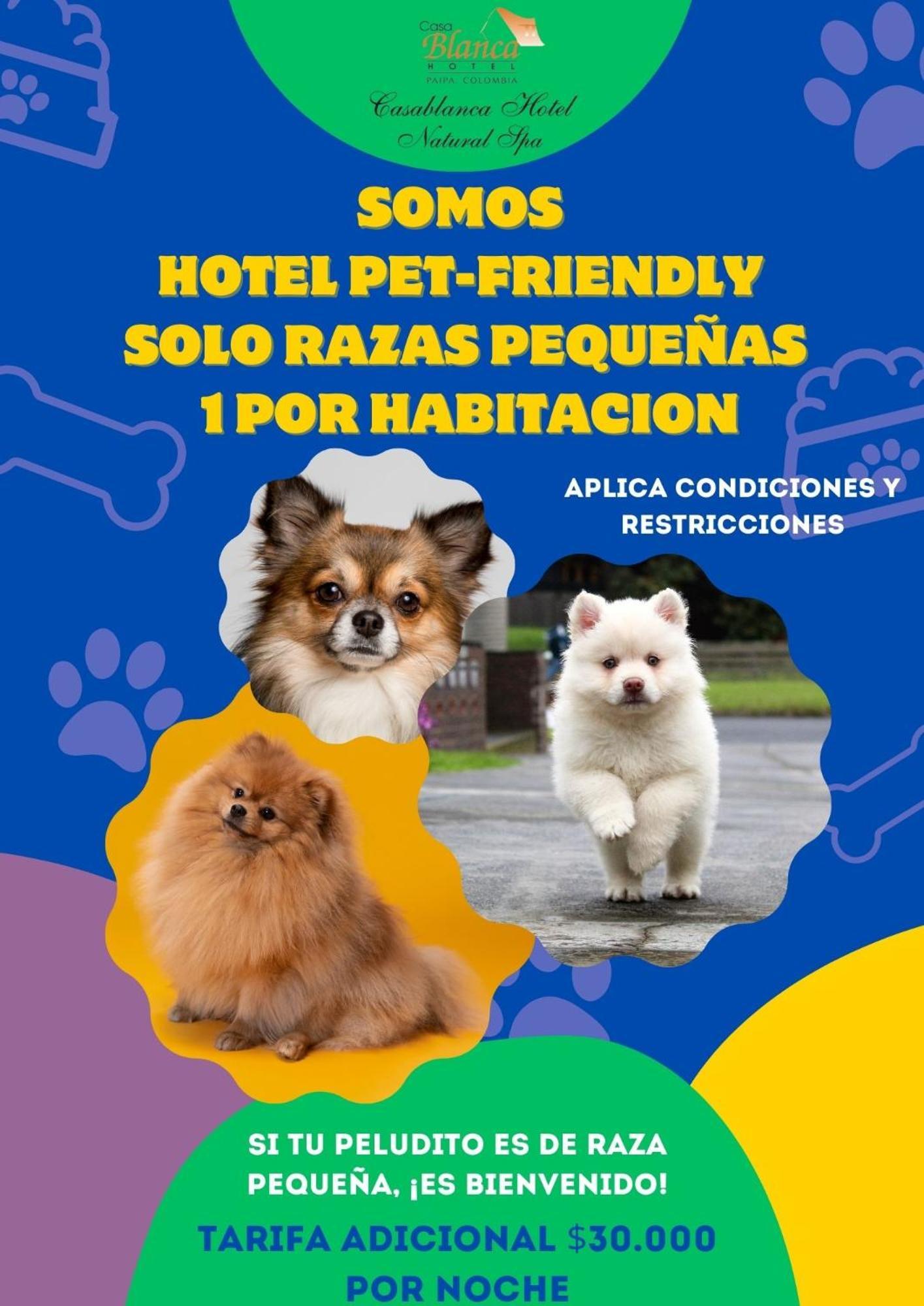 Hotel Casablanca Natural Spa Paipa Zewnętrze zdjęcie